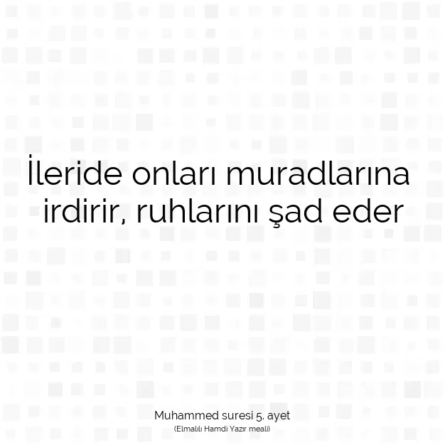 Ayetbul | Kuran Mealleri | Quran | Muhammed suresi 5. ayet