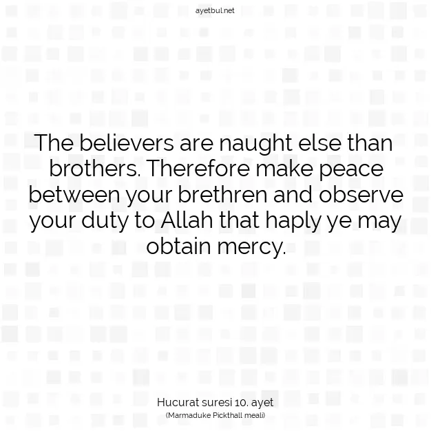 Ayetbul | Kuran Mealleri | Quran | Hucurat suresi 10. ayet