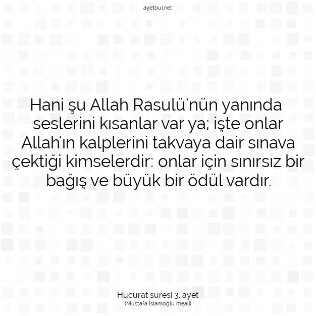Ayetbul | Kuran Mealleri | Quran | Hucurat suresi 3. ayet