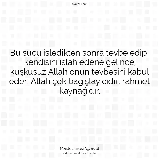 Ayetbul | Kuran Mealleri | Quran | Maide suresi 39. ayet