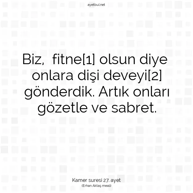 Ayetbul | Kuran Mealleri | Quran | Kamer suresi 27. ayet