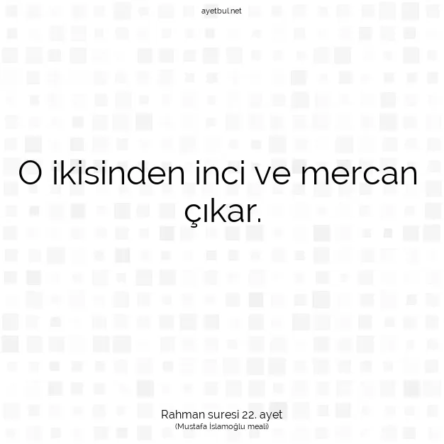 Ayetbul | Kuran Mealleri | Quran | Rahman suresi 22. ayet