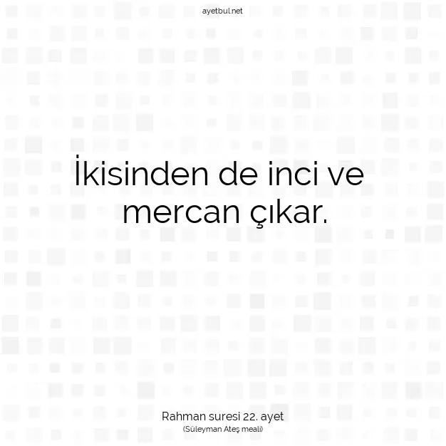 Ayetbul | Kuran Mealleri | Quran | Rahman suresi 22. ayet