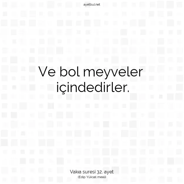 Ayetbul | Kuran Mealleri | Quran | Vakıa suresi 32. ayet