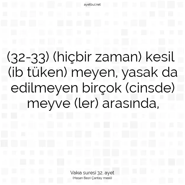 Ayetbul | Kuran Mealleri | Quran | Vakıa suresi 32. ayet