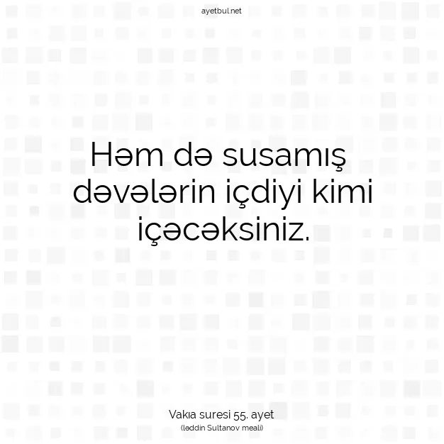 Ayetbul | Kuran Mealleri | Quran | Vakıa suresi 55. ayet