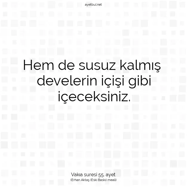 Ayetbul | Kuran Mealleri | Quran | Vakıa suresi 55. ayet