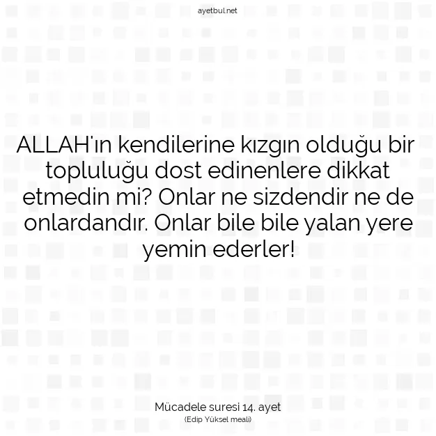 Ayetbul | Kuran Mealleri | Quran | Mücadele suresi 14. ayet
