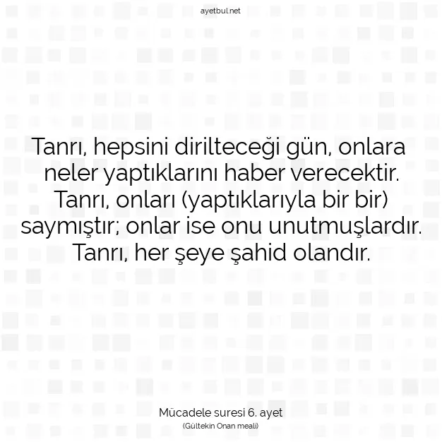 Ayetbul | Kuran Mealleri | Quran | Mücadele suresi 6. ayet