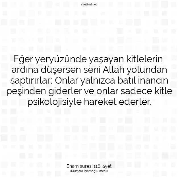 Ayetbul | Kuran Mealleri | Quran | Enam suresi 116. ayet