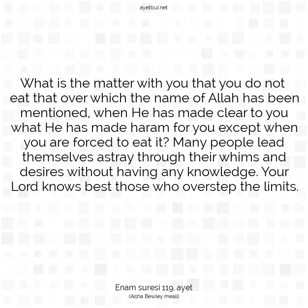 Ayetbul | Kuran Mealleri | Quran | Enam suresi 119. ayet