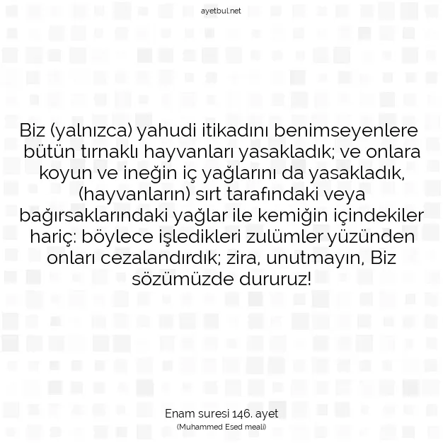 Ayetbul | Kuran Mealleri | Quran | Enam suresi 146. ayet