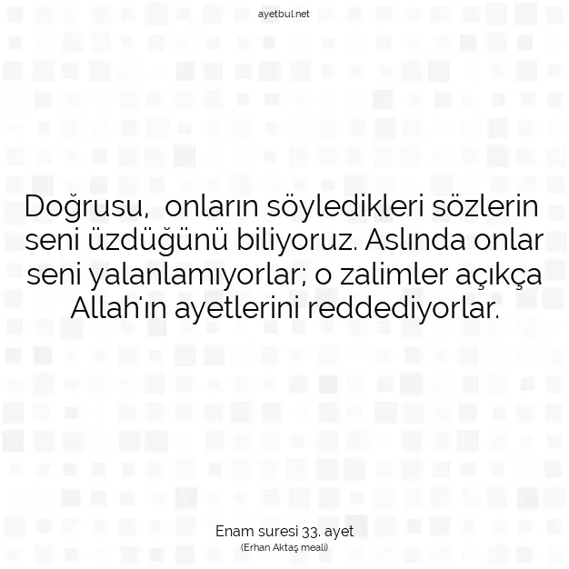 Ayetbul | Kuran Mealleri | Quran | Enam suresi 33. ayet