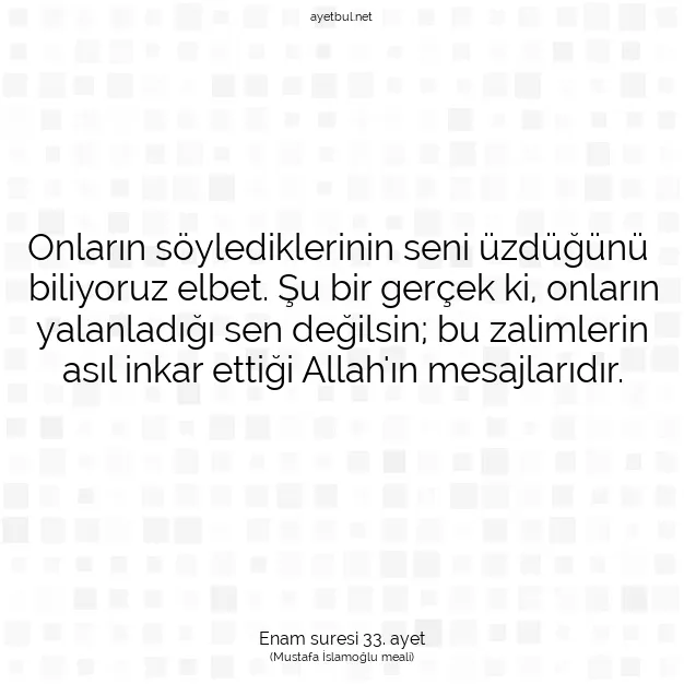 Ayetbul | Kuran Mealleri | Quran | Enam suresi 33. ayet