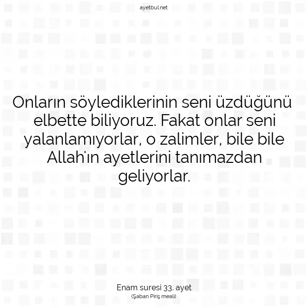 Ayetbul | Kuran Mealleri | Quran | Enam suresi 33. ayet