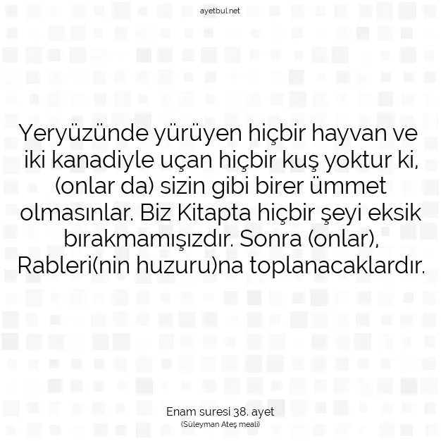 Ayetbul | Kuran Mealleri | Quran | Enam suresi 38. ayet