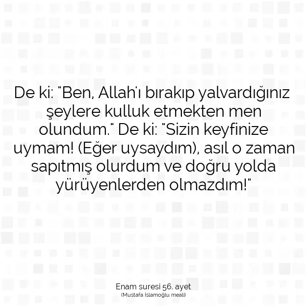 Ayetbul | Kuran Mealleri | Quran | Enam suresi 56. ayet