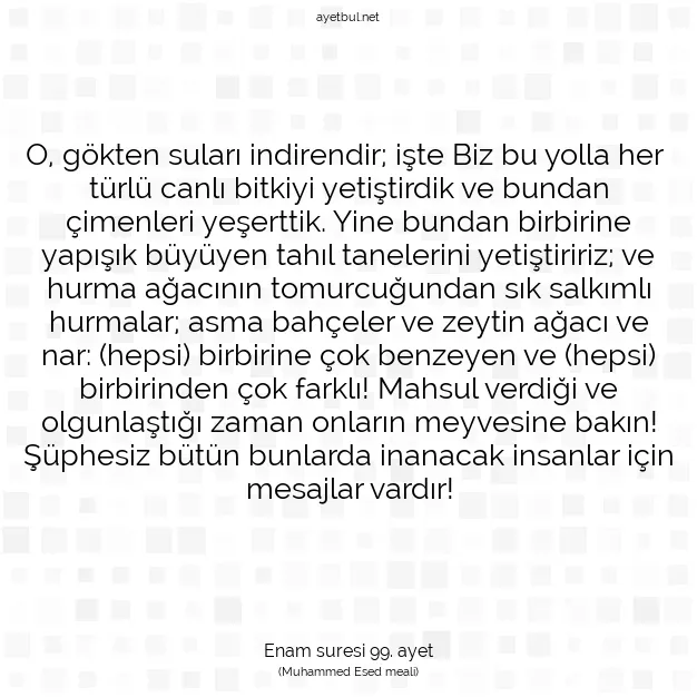Ayetbul | Kuran Mealleri | Quran | Enam suresi 99. ayet