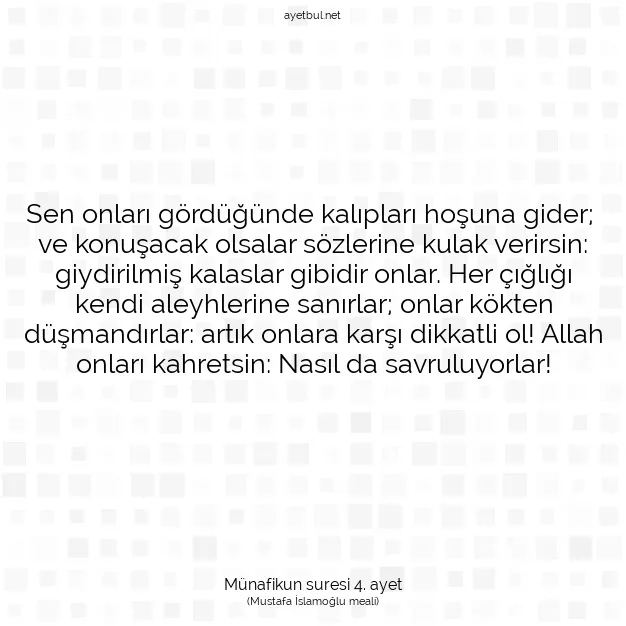 Ayetbul | Kuran Mealleri | Quran | Münafikun suresi 4. ayet