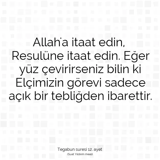Ayetbul | Kuran Mealleri | Quran | Tegabun suresi 12. ayet