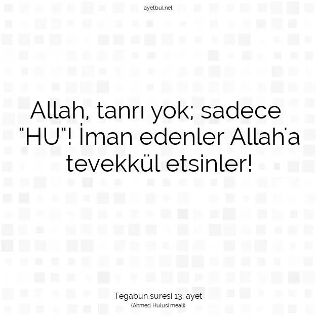 Ayetbul | Kuran Mealleri | Quran | Tegabun suresi 13. ayet