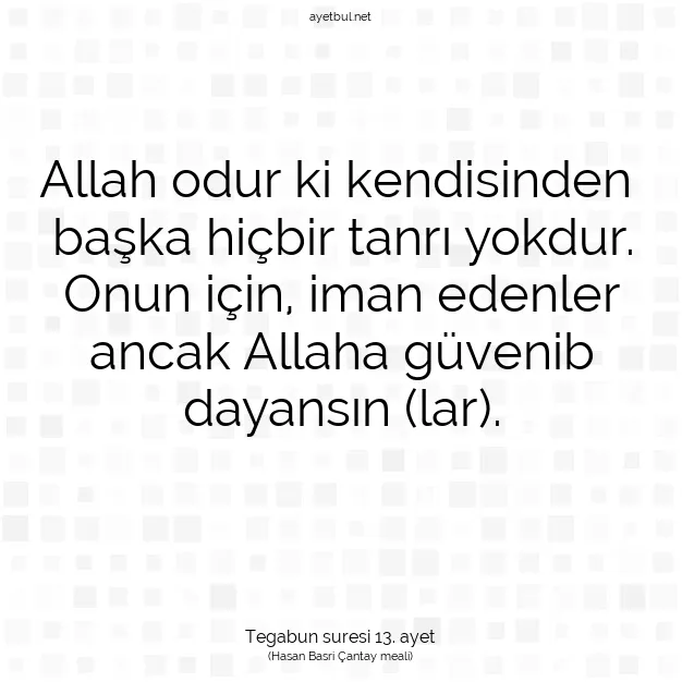 Ayetbul | Kuran Mealleri | Quran | Tegabun suresi 13. ayet