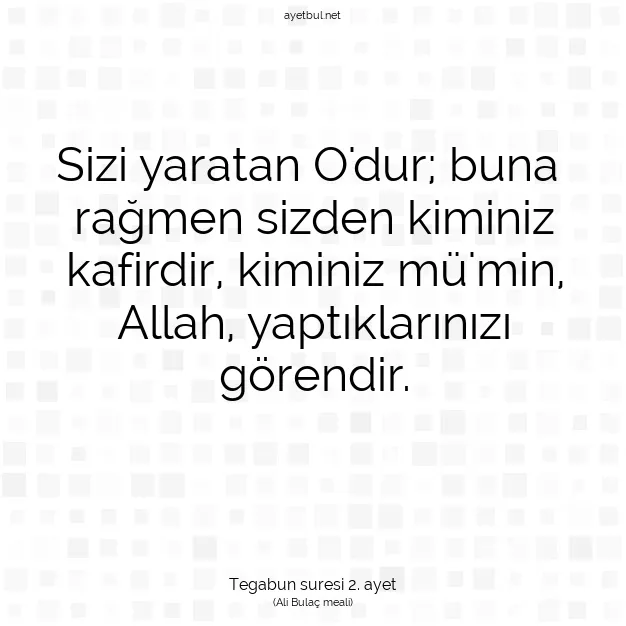 Ayetbul | Kuran Mealleri | Quran | Tegabun suresi 2. ayet