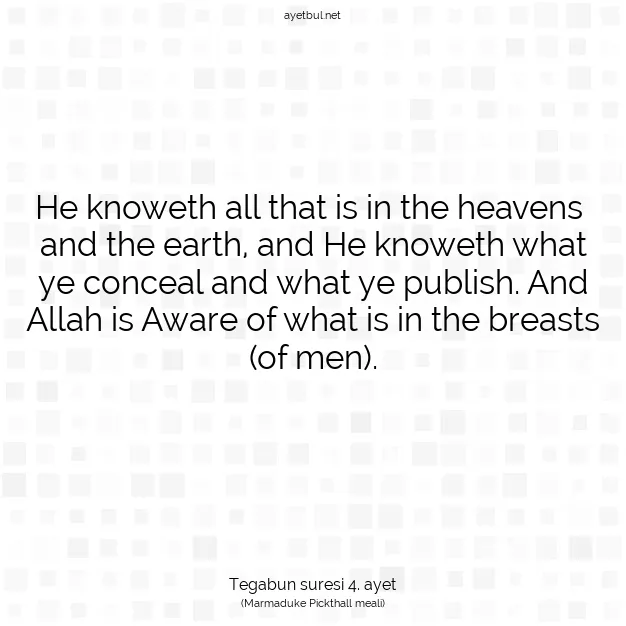 Ayetbul | Kuran Mealleri | Quran | Tegabun suresi 4. ayet