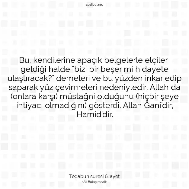 Ayetbul | Kuran Mealleri | Quran | Tegabun suresi 6. ayet