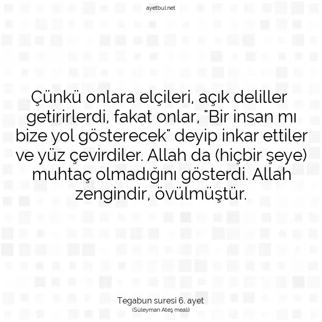 Ayetbul | Kuran Mealleri | Quran | Tegabun suresi 6. ayet