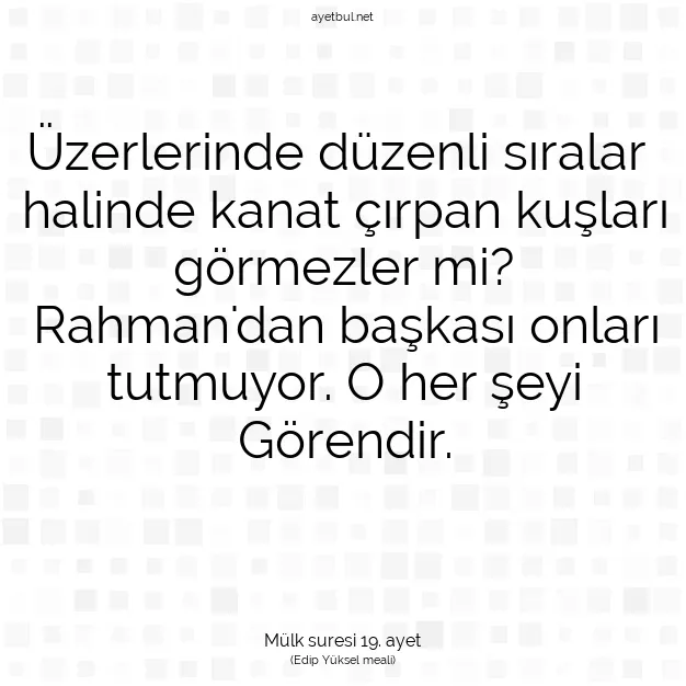 Ayetbul | Kuran Mealleri | Quran | Mülk suresi 19. ayet