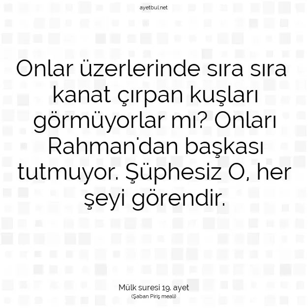 Ayetbul | Kuran Mealleri | Quran | Mülk suresi 19. ayet