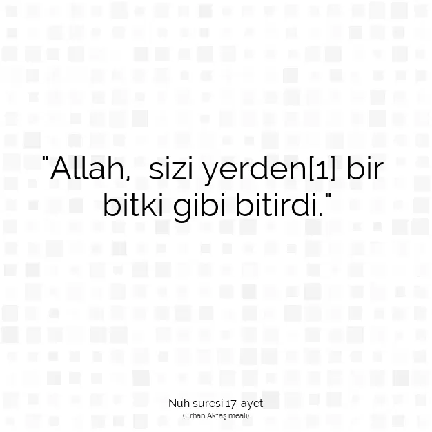 Ayetbul | Kuran Mealleri | Quran | Nuh suresi 17. ayet