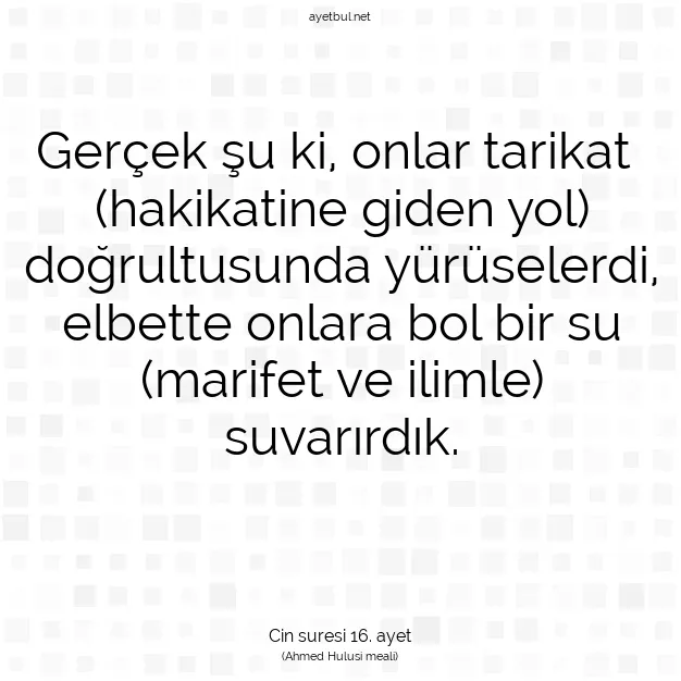 Ayetbul | Kuran Mealleri | Quran | Cin suresi 16. ayet