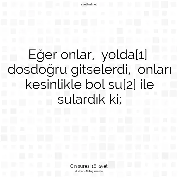 Ayetbul | Kuran Mealleri | Quran | Cin suresi 16. ayet