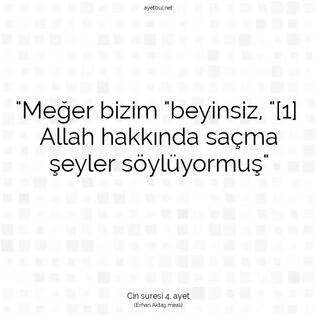 Ayetbul | Kuran Mealleri | Quran | Cin suresi 4. ayet