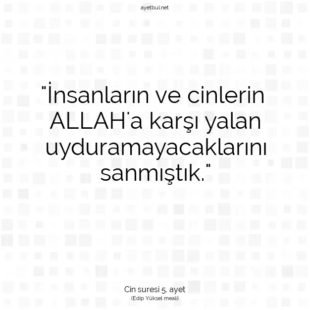 Ayetbul | Kuran Mealleri | Quran | Cin suresi 5. ayet