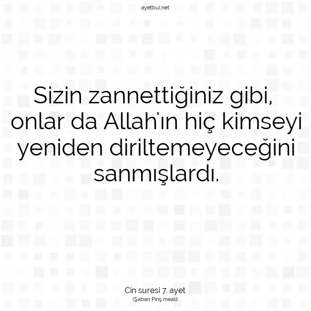 Ayetbul | Kuran Mealleri | Quran | Cin suresi 7. ayet