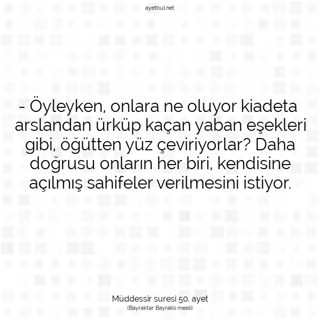 Ayetbul | Kuran Mealleri | Quran | Müddessir suresi 50. ayet