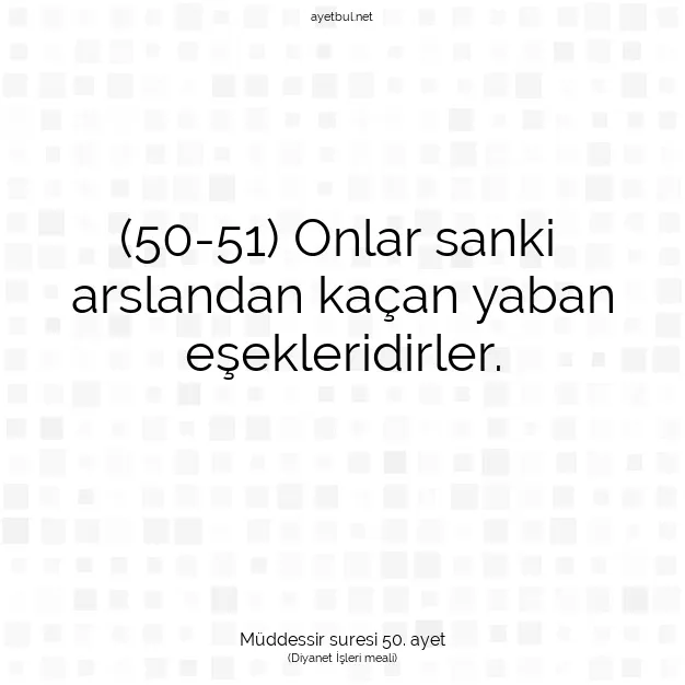 Ayetbul | Kuran Mealleri | Quran | Müddessir suresi 50. ayet