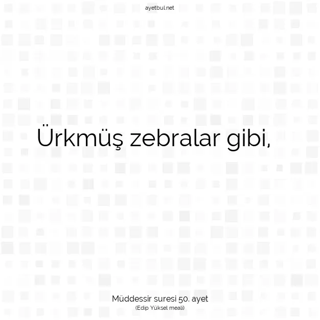 Ayetbul | Kuran Mealleri | Quran | Müddessir suresi 50. ayet