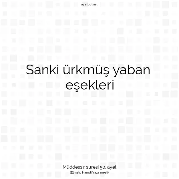 Ayetbul | Kuran Mealleri | Quran | Müddessir suresi 50. ayet