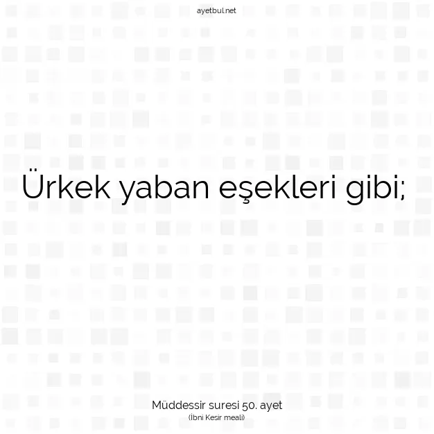 Ayetbul | Kuran Mealleri | Quran | Müddessir suresi 50. ayet