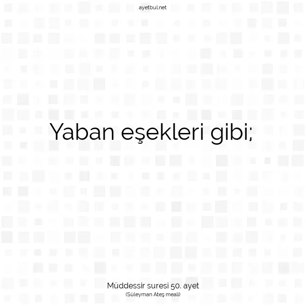 Ayetbul | Kuran Mealleri | Quran | Müddessir suresi 50. ayet