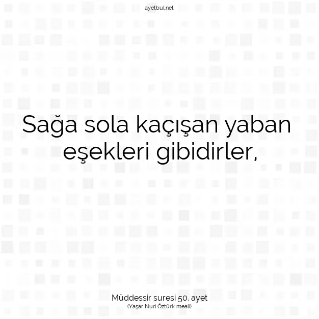 Ayetbul | Kuran Mealleri | Quran | Müddessir suresi 50. ayet