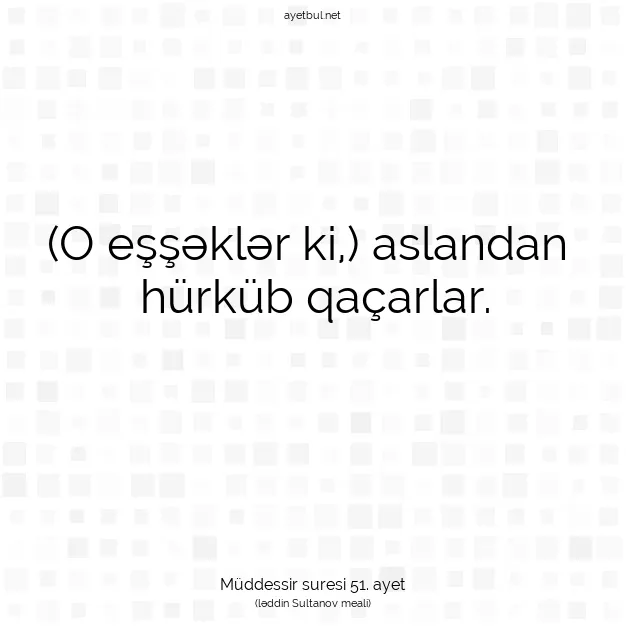 Ayetbul | Kuran Mealleri | Quran | Müddessir suresi 51. ayet
