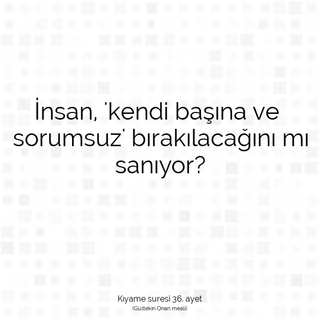 Ayetbul | Kuran Mealleri | Quran | Kıyame suresi 36. ayet