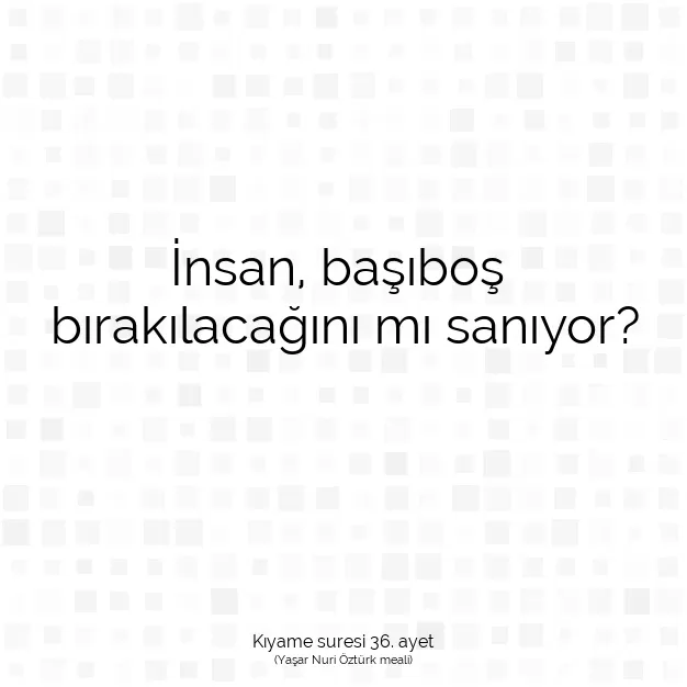 Ayetbul | Kuran Mealleri | Quran | Kıyame suresi 36. ayet