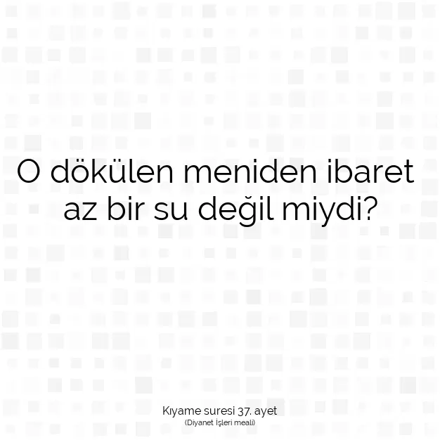 Ayetbul | Kuran Mealleri | Quran | Kıyame suresi 37. ayet