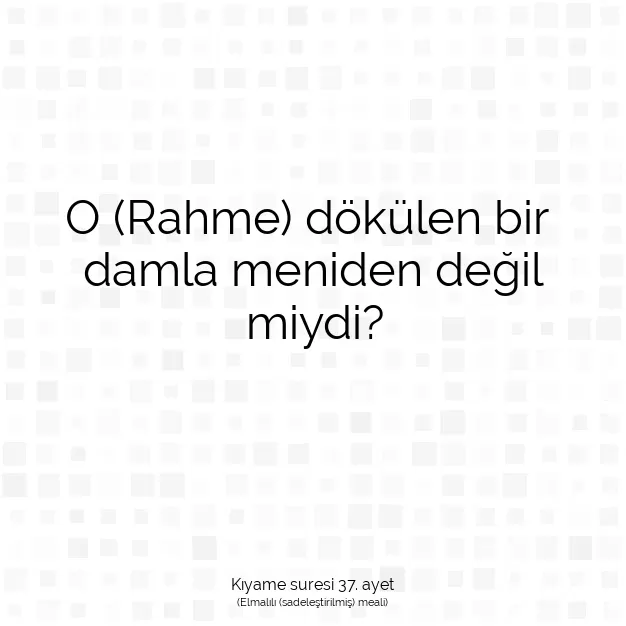 Ayetbul | Kuran Mealleri | Quran | Kıyame suresi 37. ayet